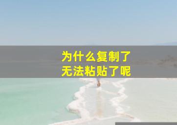 为什么复制了无法粘贴了呢