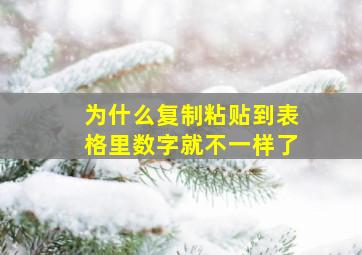 为什么复制粘贴到表格里数字就不一样了