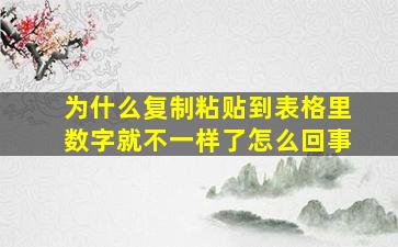 为什么复制粘贴到表格里数字就不一样了怎么回事