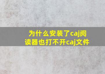 为什么安装了caj阅读器也打不开caj文件