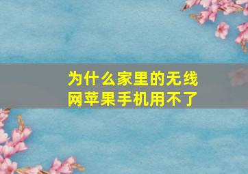 为什么家里的无线网苹果手机用不了