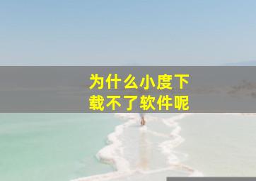 为什么小度下载不了软件呢