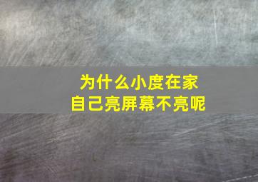 为什么小度在家自己亮屏幕不亮呢