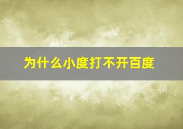 为什么小度打不开百度