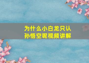 为什么小白龙只认孙悟空呢视频讲解