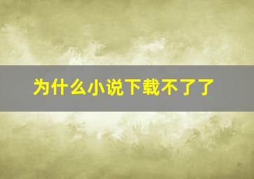 为什么小说下载不了了