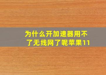 为什么开加速器用不了无线网了呢苹果11