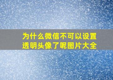 为什么微信不可以设置透明头像了呢图片大全