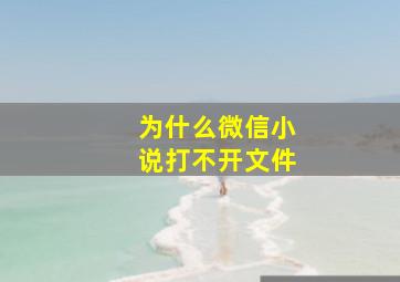 为什么微信小说打不开文件