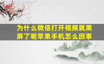 为什么微信打开视频就黑屏了呢苹果手机怎么回事