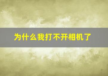 为什么我打不开相机了