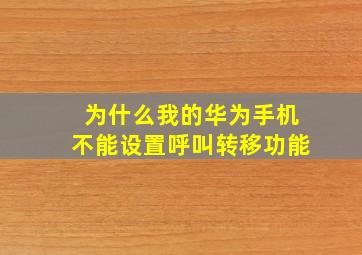 为什么我的华为手机不能设置呼叫转移功能