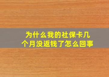 为什么我的社保卡几个月没返钱了怎么回事