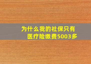 为什么我的社保只有医疗险缴费5003多