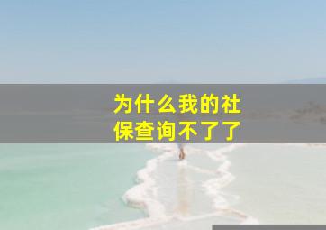 为什么我的社保查询不了了