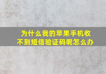 为什么我的苹果手机收不到短信验证码呢怎么办