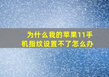 为什么我的苹果11手机指纹设置不了怎么办