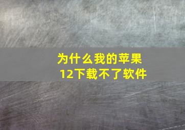 为什么我的苹果12下载不了软件