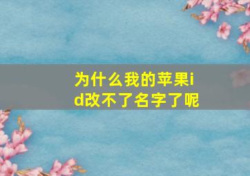 为什么我的苹果id改不了名字了呢