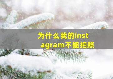 为什么我的instagram不能拍照