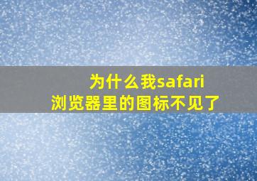 为什么我safari浏览器里的图标不见了