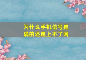 为什么手机信号是满的还是上不了网