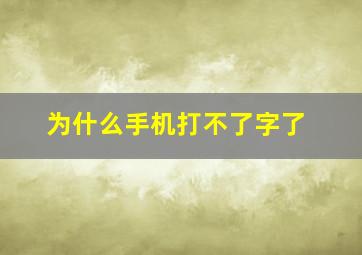 为什么手机打不了字了