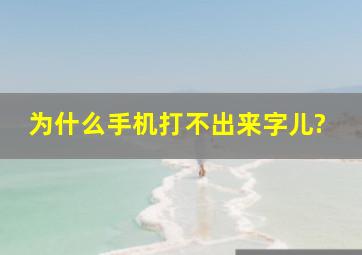 为什么手机打不出来字儿?