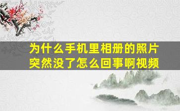 为什么手机里相册的照片突然没了怎么回事啊视频