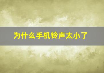 为什么手机铃声太小了