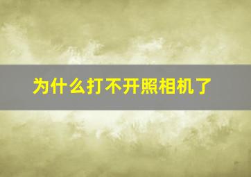 为什么打不开照相机了