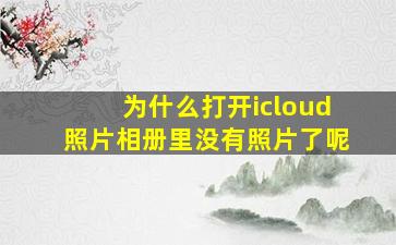 为什么打开icloud照片相册里没有照片了呢