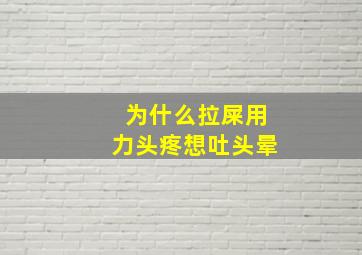 为什么拉屎用力头疼想吐头晕