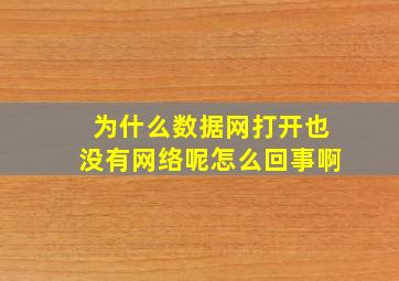 为什么数据网打开也没有网络呢怎么回事啊