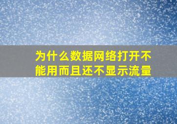 为什么数据网络打开不能用而且还不显示流量