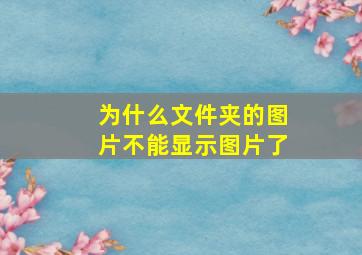 为什么文件夹的图片不能显示图片了