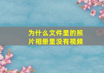 为什么文件里的照片相册里没有视频