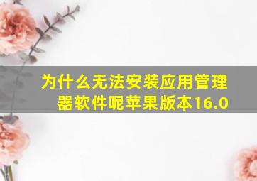 为什么无法安装应用管理器软件呢苹果版本16.0