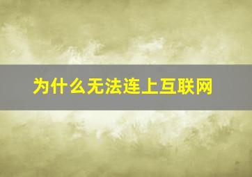 为什么无法连上互联网