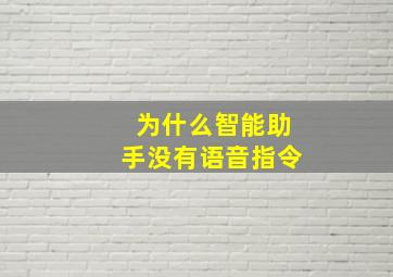 为什么智能助手没有语音指令