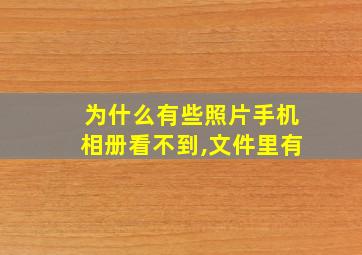 为什么有些照片手机相册看不到,文件里有