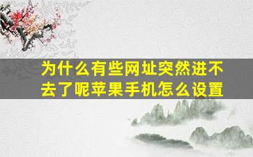 为什么有些网址突然进不去了呢苹果手机怎么设置