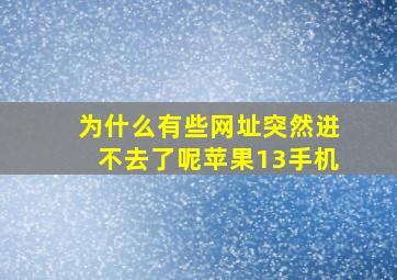 为什么有些网址突然进不去了呢苹果13手机