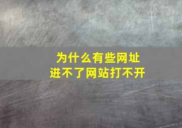 为什么有些网址进不了网站打不开