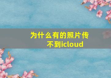 为什么有的照片传不到icloud