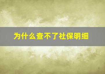 为什么查不了社保明细