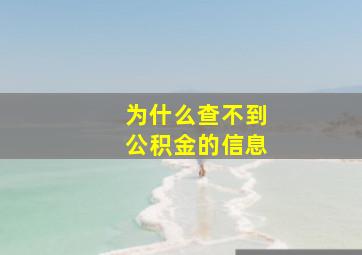 为什么查不到公积金的信息