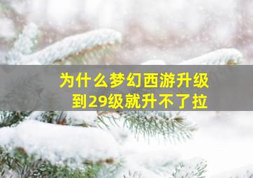 为什么梦幻西游升级到29级就升不了拉