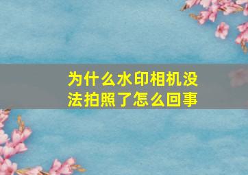 为什么水印相机没法拍照了怎么回事