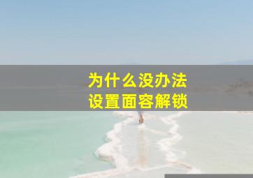 为什么没办法设置面容解锁